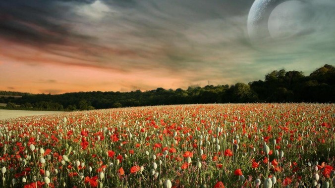 男医生在给年轻靓丽的女性检查时会是什么心态？